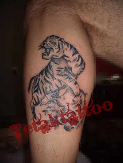 foto04139